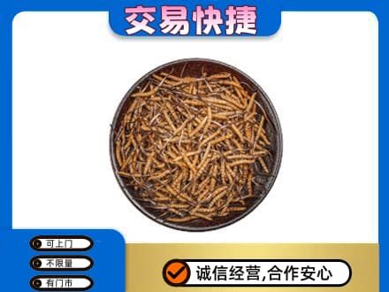 吉安峡江县高价回收散虫草